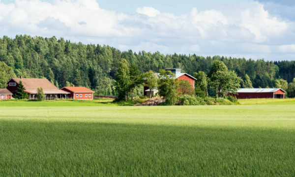 Gaining insights from rural communities to reach quality in the built environment.