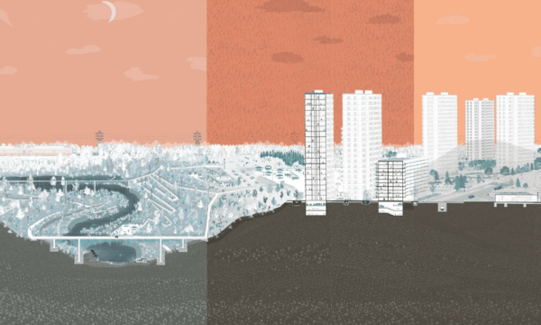 Revitalized urban green spaces boost biodiversity through social engagement.